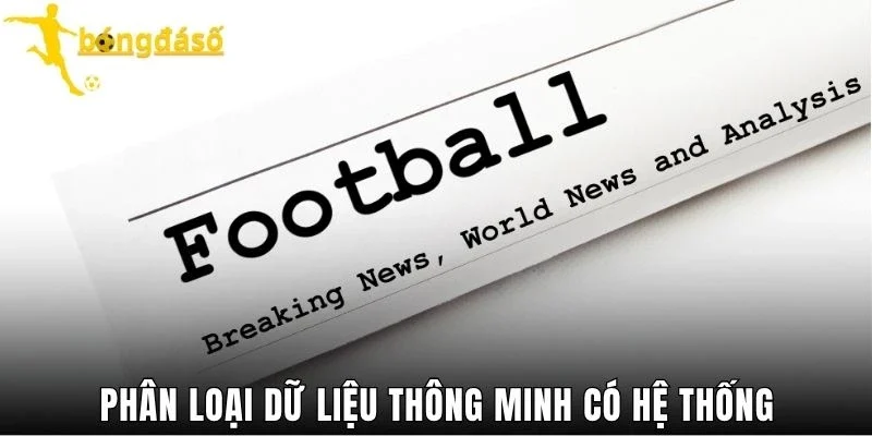 Phân loại dữ liệu thông minh có hệ thống